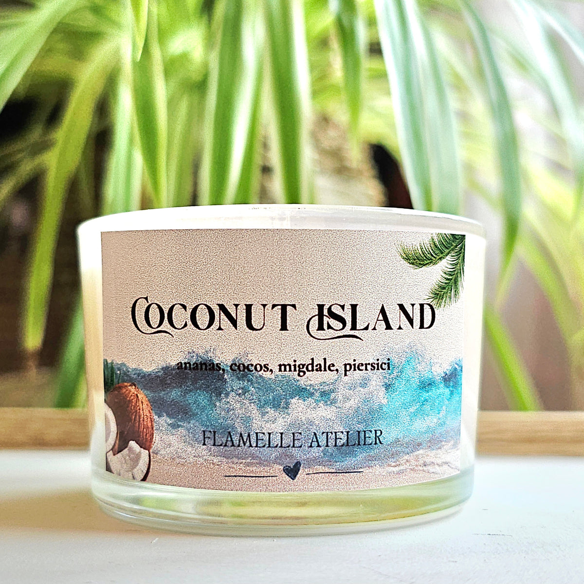 Coconut Island
