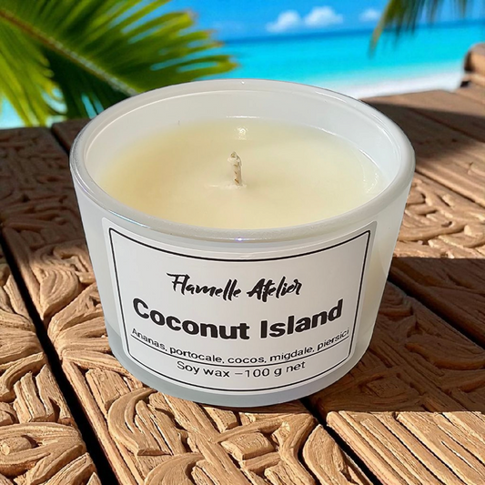 Coconut Island