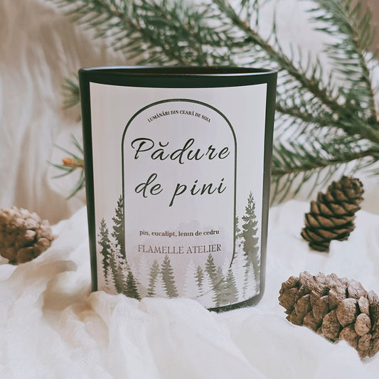 Pădure de pini