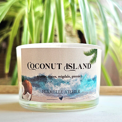 Coconut Island