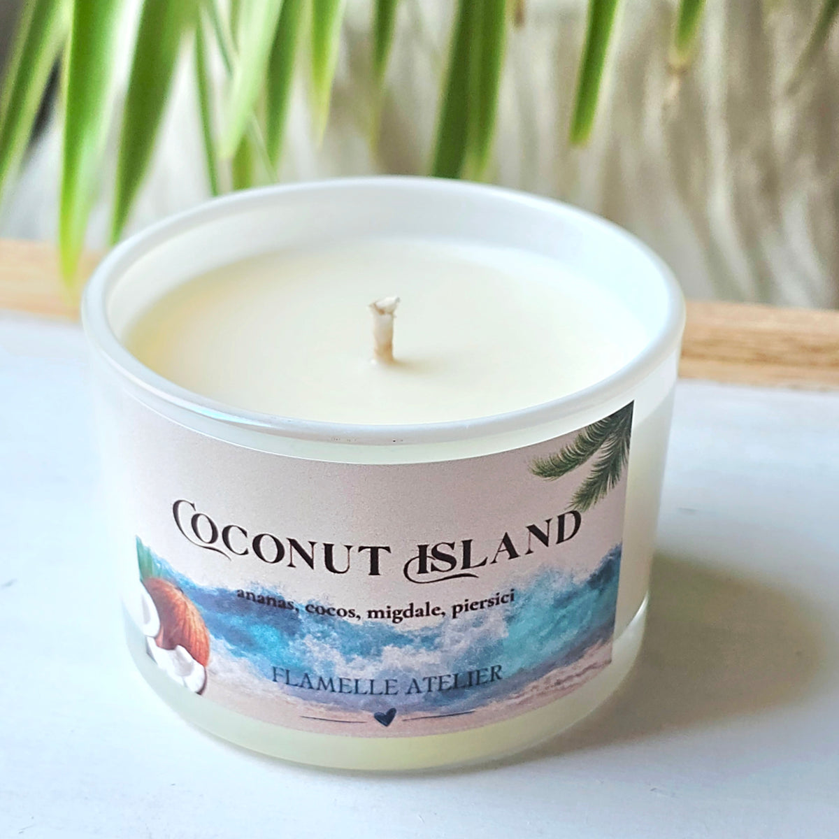 Coconut Island