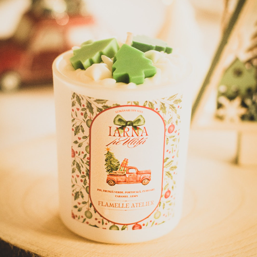 Iarna pe uliță - pin, zmeură, lemn